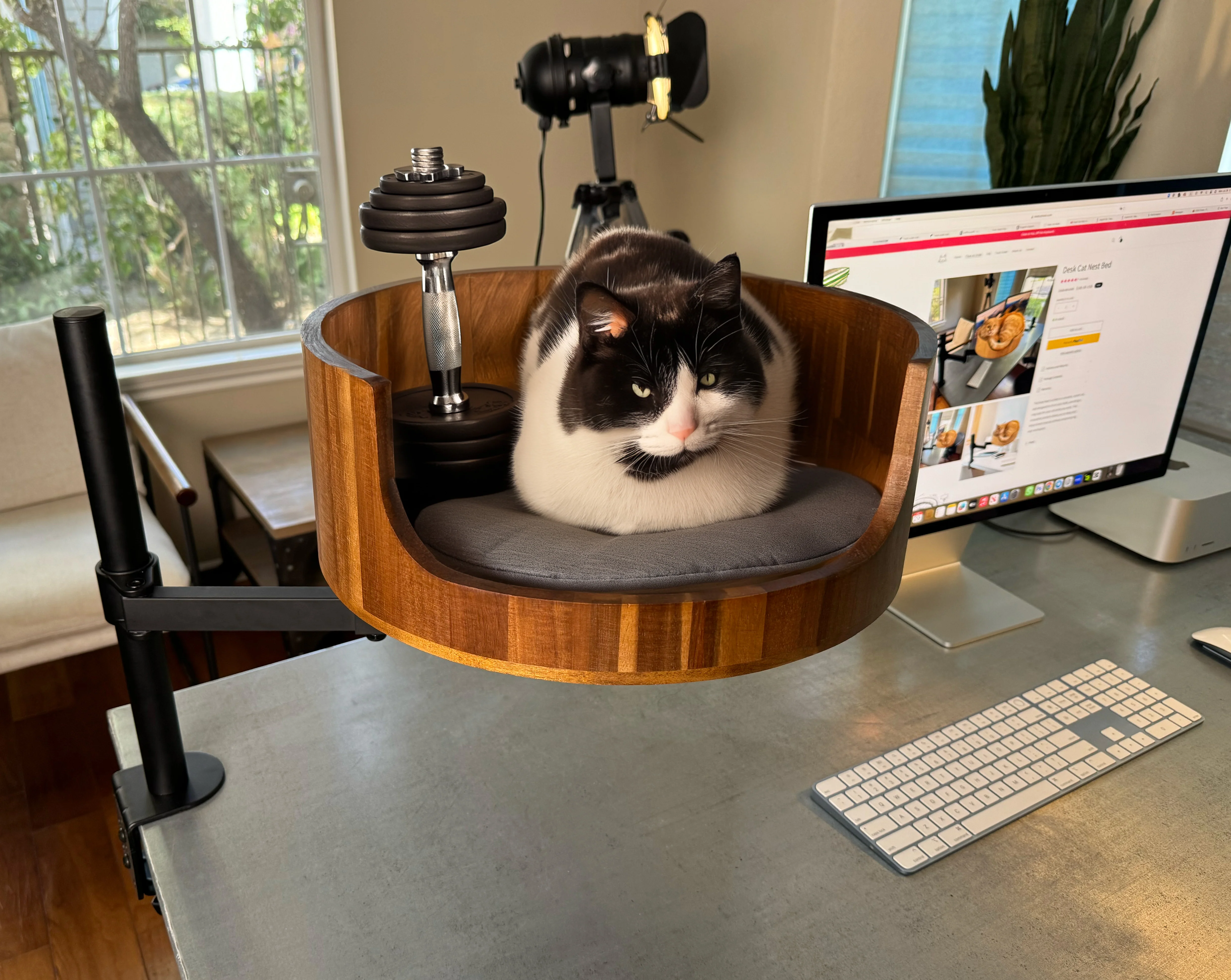 Desk Cat Nest Bed - Dual Arm - Image 4